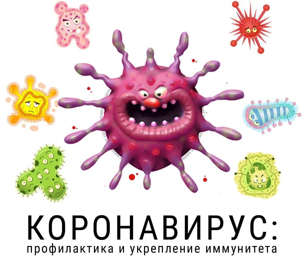 Коронавирус иммунитет